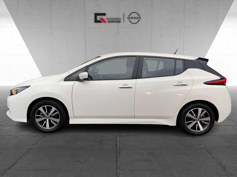 Nissan Leaf Acenta 40 kWh (ZE1) Kamera DAB